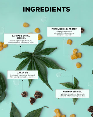 Highlighting the key ingredients in the  Hydrating Hair Kit such as argan oil, and moringa seed oil.